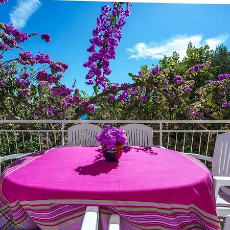 펜션 Lido 오레비츠